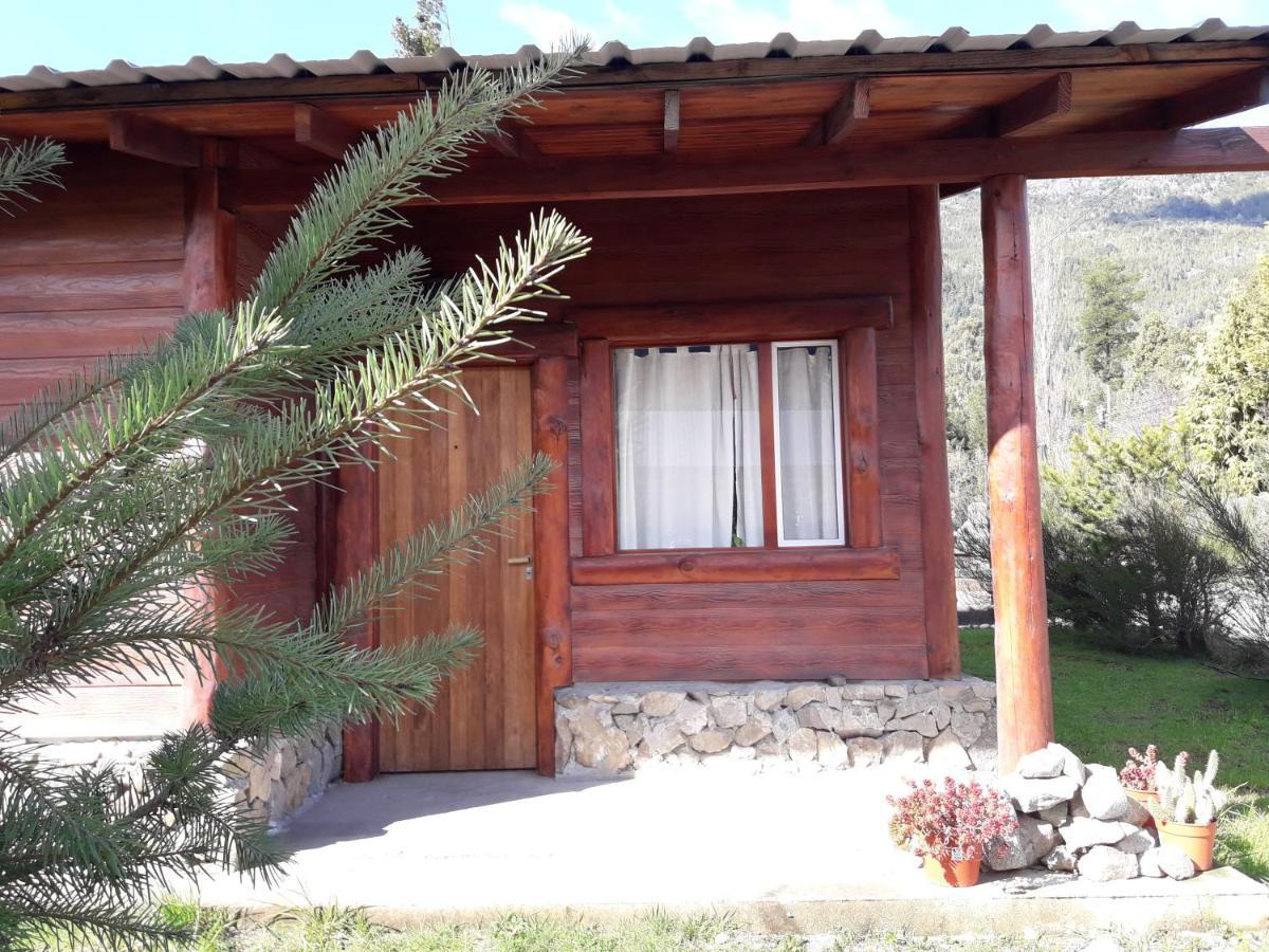 El Jarillal Chalet De Montana A Pasos Del Lago Lago Puelo Zewnętrze zdjęcie